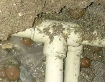 屯昌测漏水多少钱