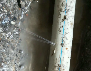 屯昌测漏水哪家好