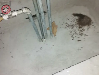 屯昌卫生间测漏水价格明细