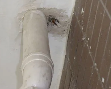 屯昌漏水检测哪家好